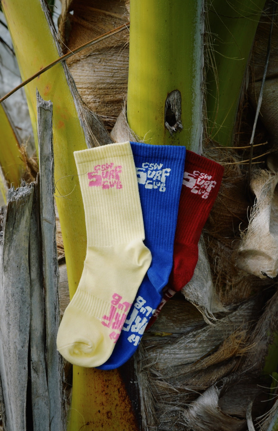 CSW surf Club Socks