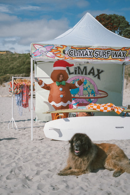 Wāhine Santa Group Surf!♥️🎄